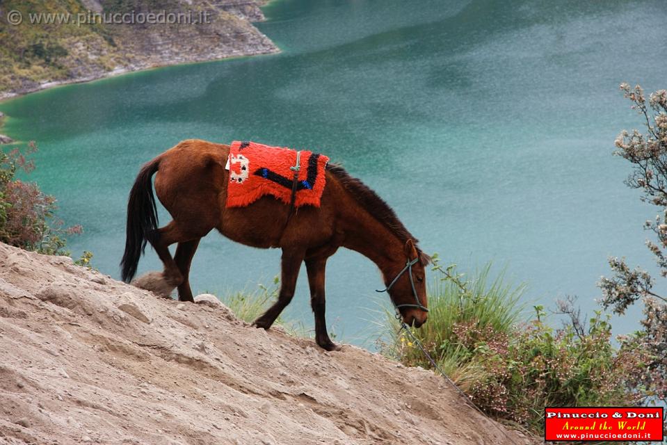 ECUADOR - Laguna di Quilotoa - 06.jpg